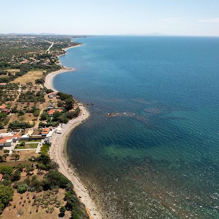 Papi'S Free Parking Villa Alexandroupoli Esterno foto